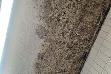 Falta de limpeza encerra messe da Marinha em Almada