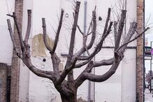 Pintura de Banksy no norte de Londres