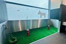 Aeroporto de Lisboa já tem um WC para cães 