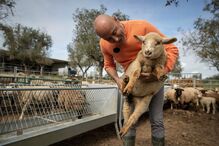 2024-03-29_12_02_42 50754157 (1).JPG