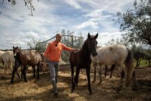 2024-03-29_12_02_48 50754161 (1).JPG