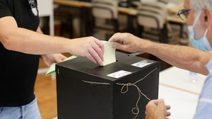 Mais de 254 mil eleitores escolhem hoje novo parlamento regional