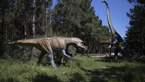 Identificada nova espécie de dinossauro na Lourinhã