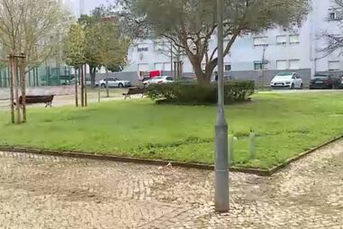 Homem baleado nas costas no Bairro da Horta Nova em Carnide