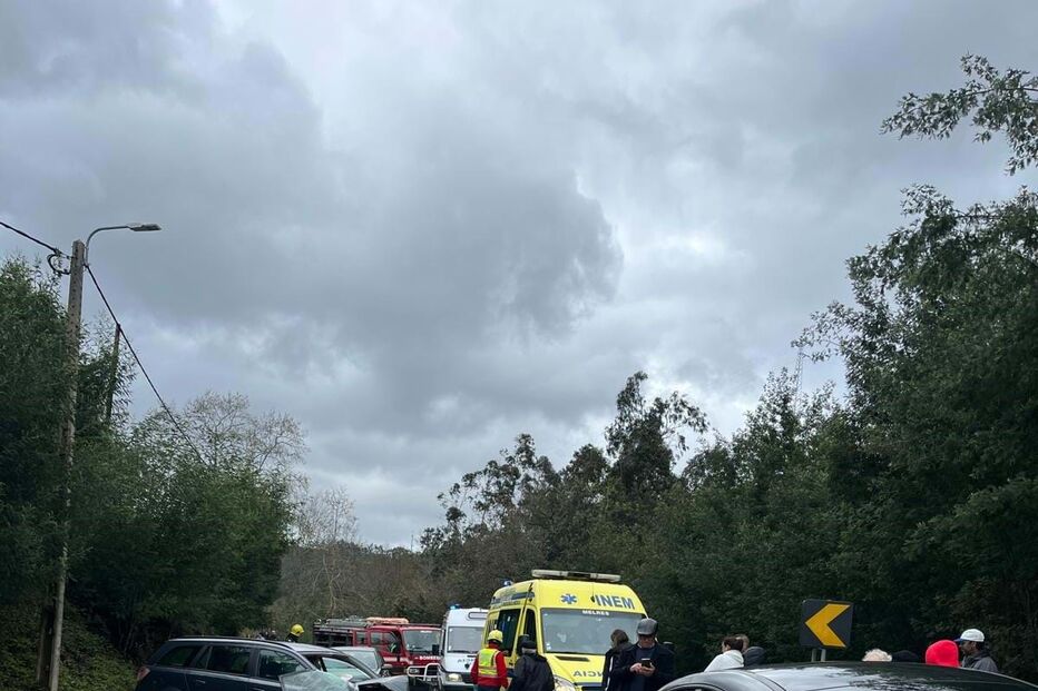 2024-03-02_15_33_07 7b943092-db69-4688-ab2a-d8c71e0c1df3.jpg