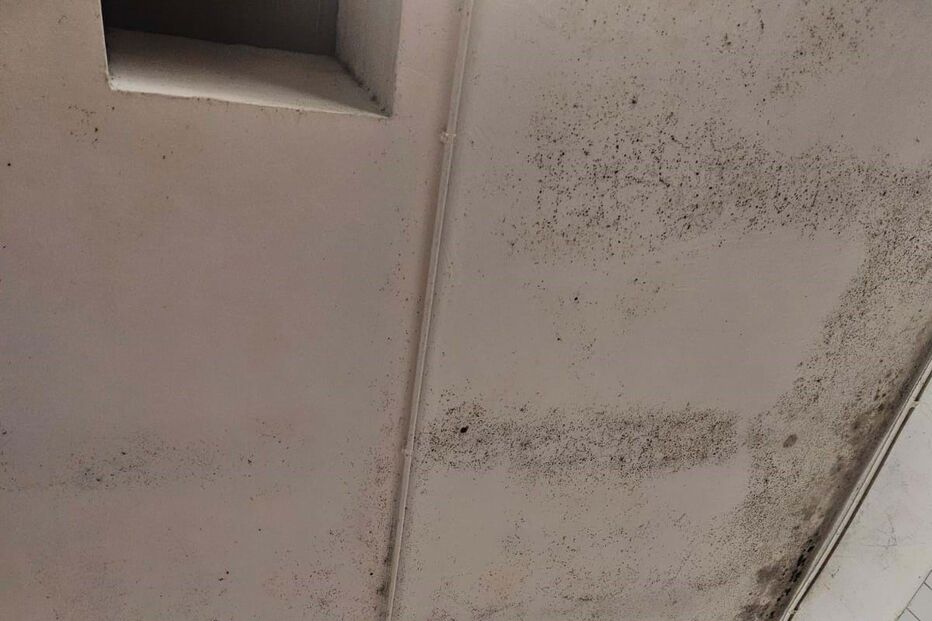 Falta de limpeza encerra messe da Marinha em Almada