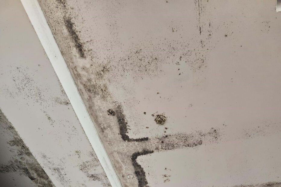 Falta de limpeza encerra messe da Marinha em Almada