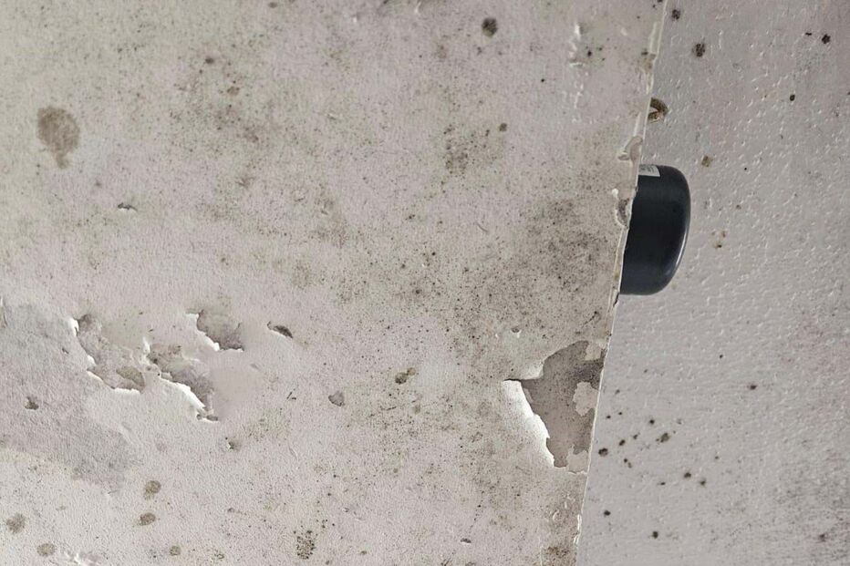 Falta de limpeza encerra messe da Marinha em Almada