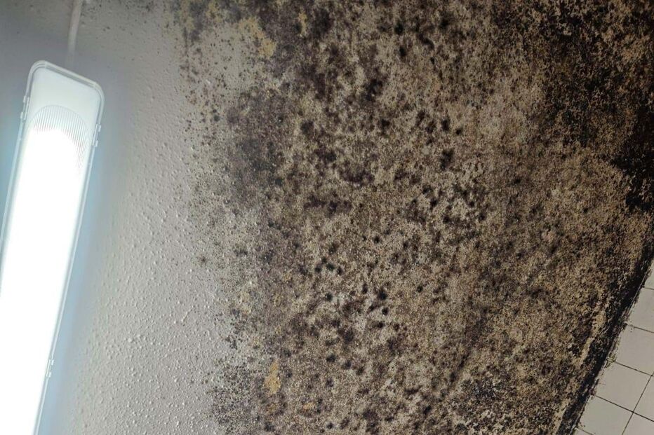 Falta de limpeza encerra messe da Marinha em Almada