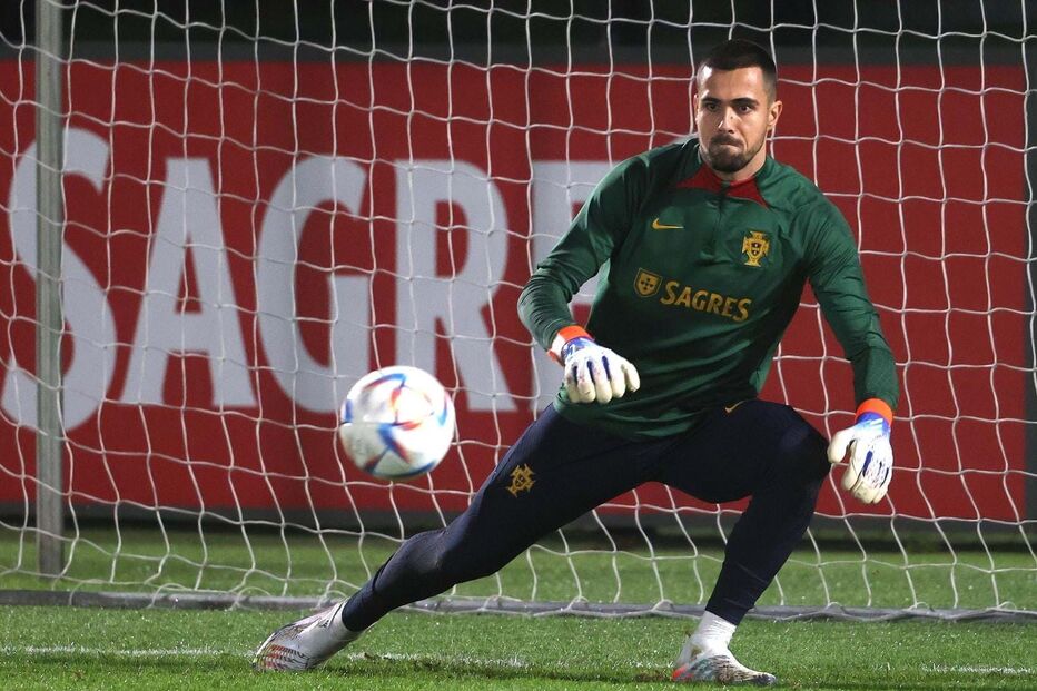 Diogo Costa, guarda-redes