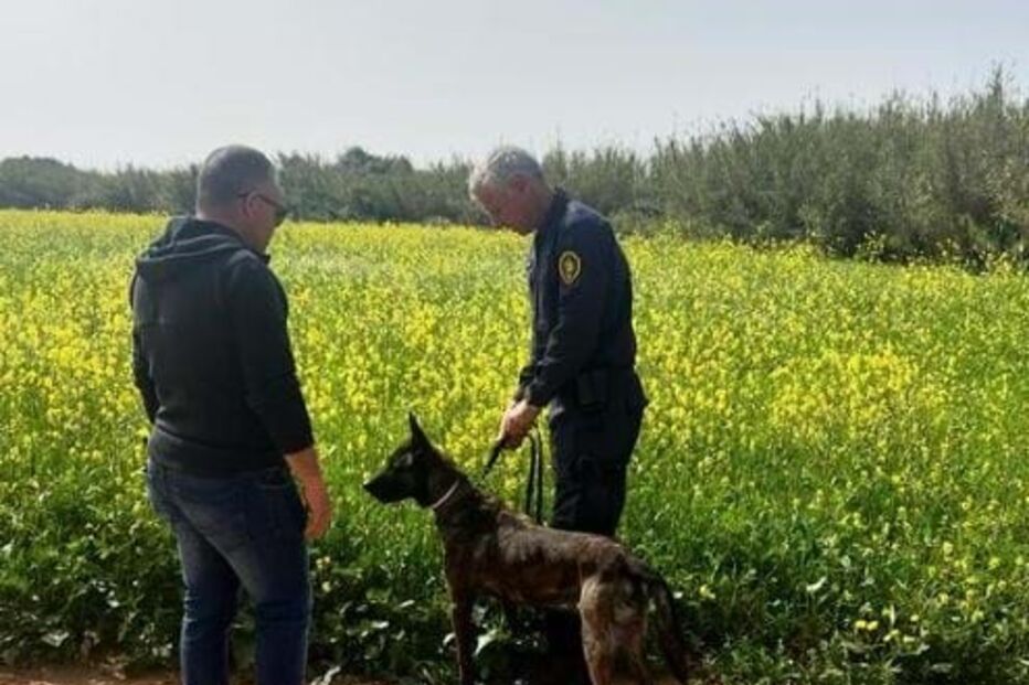 Predador sexual rouba e tenta violar atleta durante treino