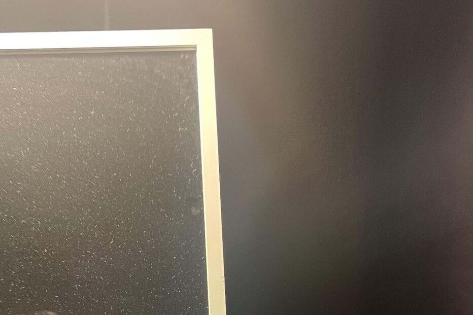 Márcia Soares e Francisco Monteiro