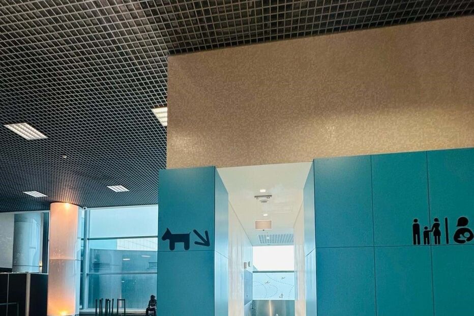 Aeroporto de Lisboa já tem um WC para cães 