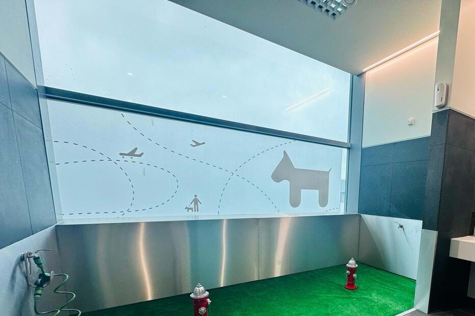 Aeroporto de Lisboa já tem um WC para cães 