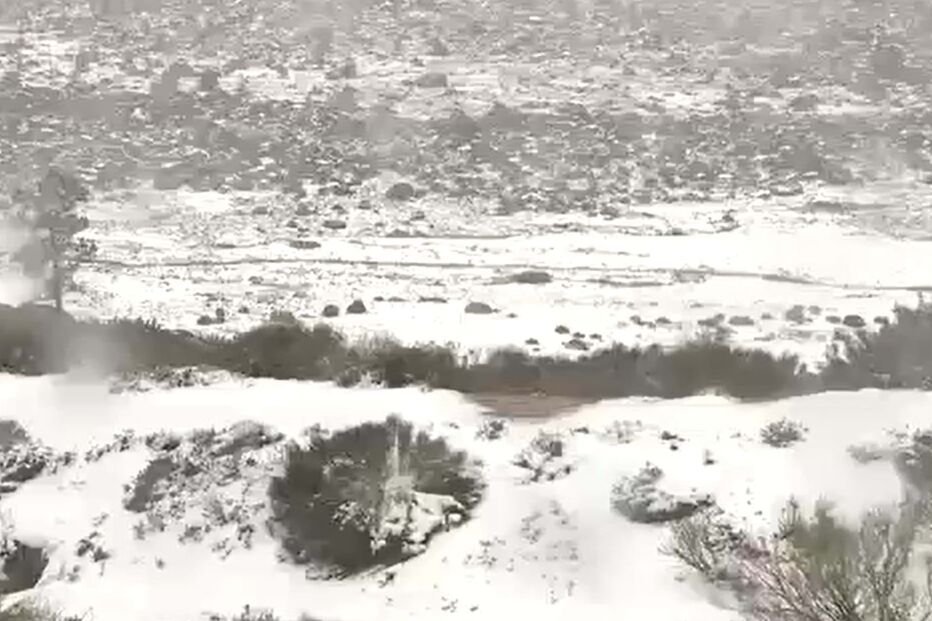 Corrida à Serra da Estrela para ver a neve