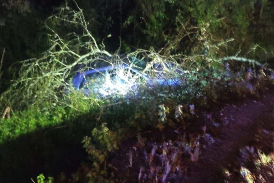 Despiste de carro provoca um ferido em Águeda