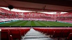 Empresas criadas só para negócios suspeitos do Benfica