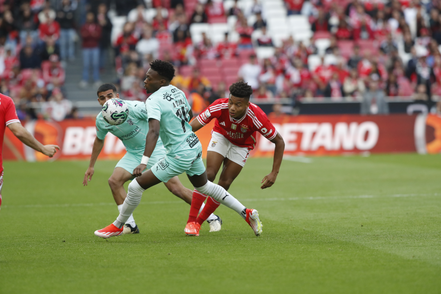 Benfica vence Sp. Braga com reviravolta na Luz e impede Sporting de ...