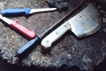 ASAE deteve quatro pessoas e apreendeu 2,5 toneladas de carne na 'Operação Páscoa'