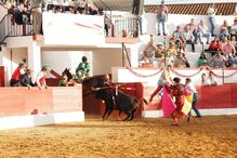 O cavaleiro Luís Rouxinol conseguiu evitar que o touro escapasse da praça