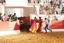 O cavaleiro Luís Rouxinol conseguiu evitar que o touro escapasse da praça