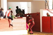 O cavaleiro Luís Rouxinol conseguiu evitar que o touro escapasse da praça