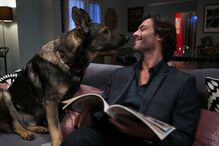 Rui Santos em 'Inspector Max'