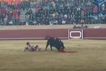 2024-04-30_12_08_05 Comentadores do ‘Noite das Estrelas’ reagem a queda de Cayetano Rivera numa corrida de Touros.jpg