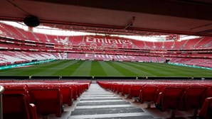 Empresas criadas só para negócios suspeitos do Benfica