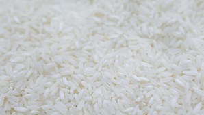 População guineense denuncia falta do arroz