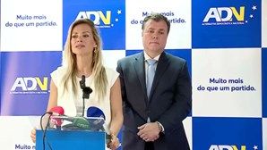 "Velha ativista" traz "terramoto": Joana Amaral Dias apresenta candidatura às eleições europeias 