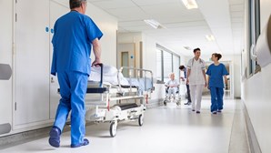Ordem dos Enfermeiros apresenta propostas à ministra da Saúde. Faltam 14 mil profissionais