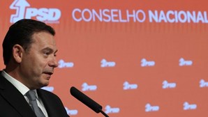 Efeito do novo Governo divide os portugueses