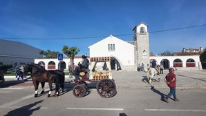 Organização lamenta "trágico acidente" na Romaria a Cavalo que fez um morto e um ferido
