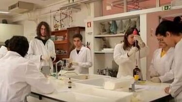 Programação de robôs e preservação da biodiversidade: Nos ‘Clubes Ciência Viva’ a prática é o mais importante