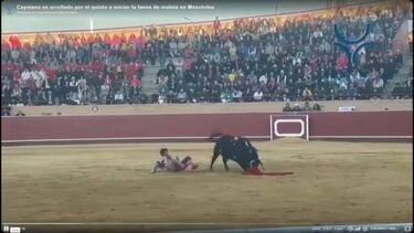 Comentadores do 'Noite das Estrelas' reagem a queda de Cayetano Rivera numa corrida de Touros