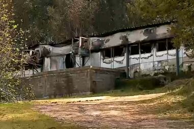 Incêndio destrói aviário em Vouzela e provoca morte a cerca de 8 mil galinhas