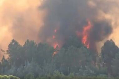 Tribunal retira sete anos de prisão ao engenheiro eletrotécnico da Sertã que ateou 16 incêndios florestais