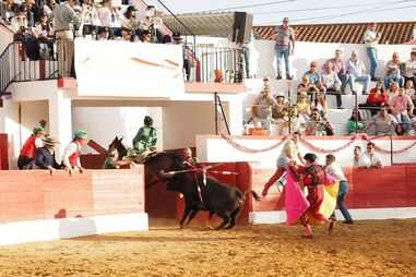 O cavaleiro Luís Rouxinol conseguiu evitar que o touro escapasse da praça