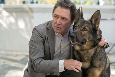 Fernando Luís em 'Inspector Max'