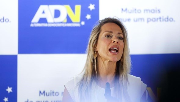 "Velha ativista" traz "terramoto": Joana Amaral Dias apresenta candidatura às eleições europeias 