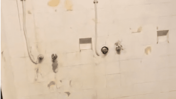 "Mais parece uma prisão": Jogadora do Sporting denuncia más condições de balneário com baratas mortas