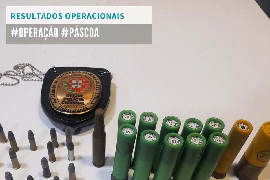 ASAE deteve quatro pessoas e apreendeu 2,5 toneladas de carne na 'Operação Páscoa'