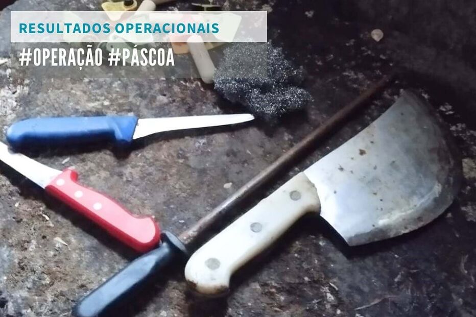ASAE deteve quatro pessoas e apreendeu 2,5 toneladas de carne na 'Operação Páscoa'