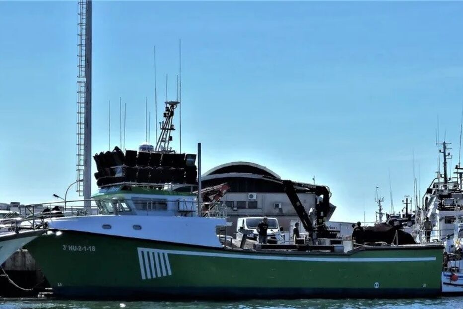Barco no Porto de Olhão