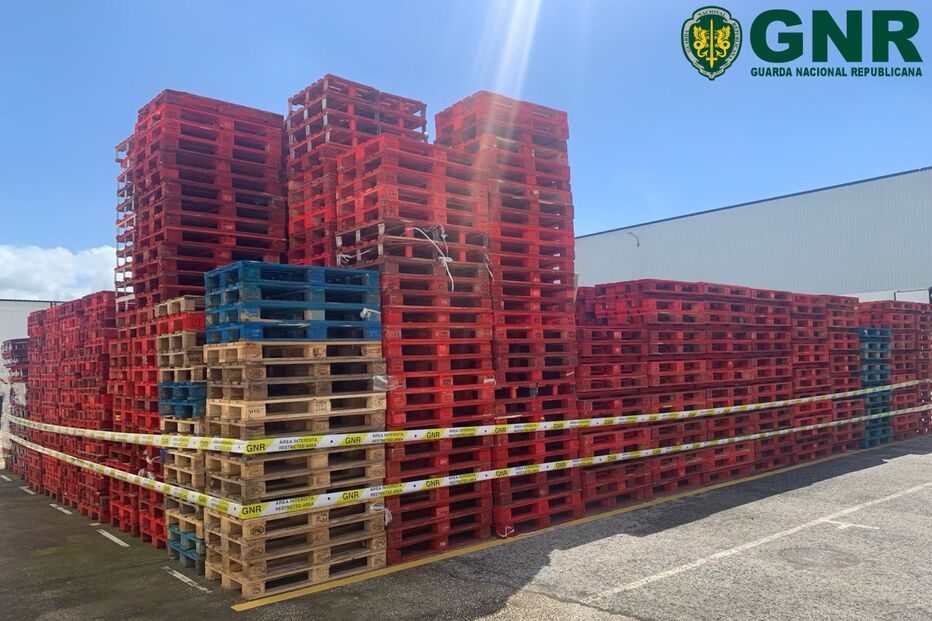 Imagem GNR LISBOA - APREENSÃO 2.JPG (20897161) (Milenium)