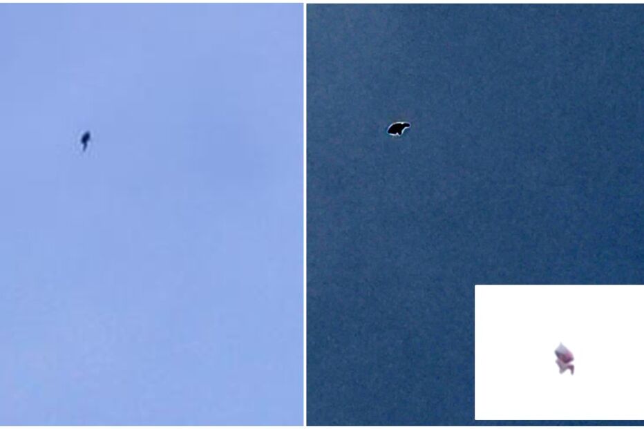 /fotosgeral/Fotos/2-51006722#431784d7f2eb0266330178781457d12e (20932721) (Milenium)