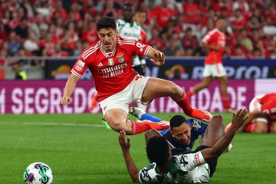 Benfica - Moreirense