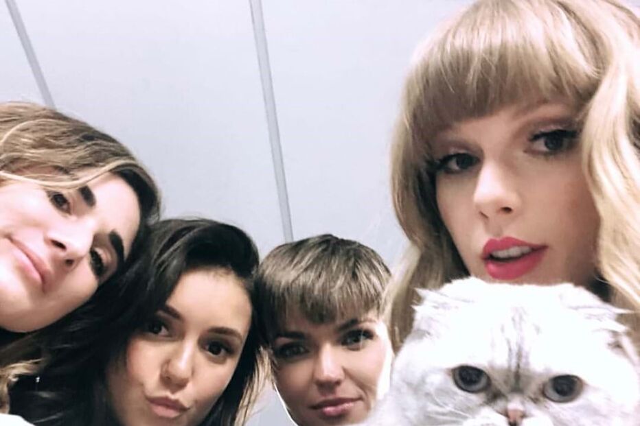 Taylor Swift, a sua gata e algumas amigas