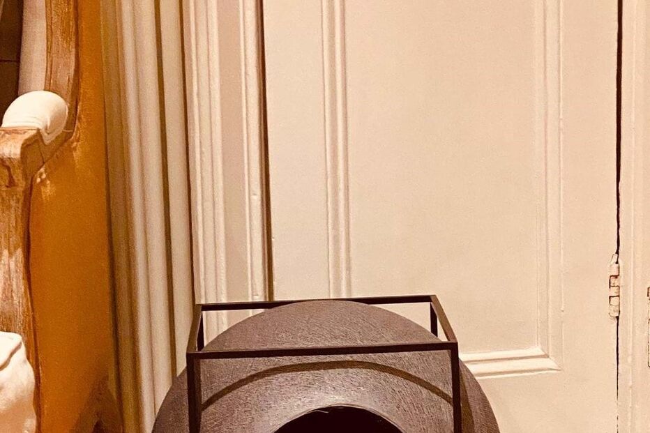 Gato de Taylor Swift